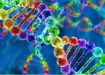 The Meteoric Rise Of Jin Gates: Exploring His Staggering Net Worth