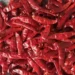 Exploring The Fiery World Of Red Chilli: Uses, Benefits, And Side Effects