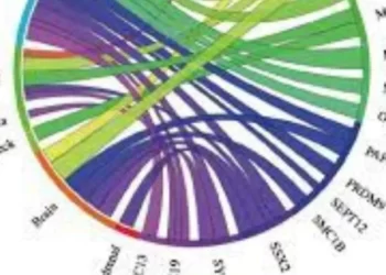 First Extended Service Corporation