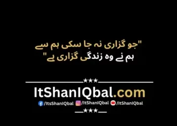 Whispers Of The Soul: The Essence Of Urdu Poetry In Two Lines