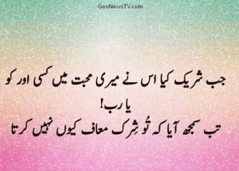 Dard Ki Roshni: Unveiling The Beauty Of Urdu Poetry