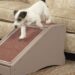 How To Choose The Right Ramp For Your Dog – And Your Home?