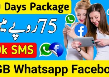 Telenor WhatsApp Packages