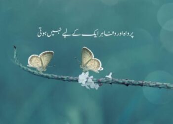 One Line Urdu Poetry