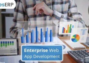 What Are Enterprise Web Applications?