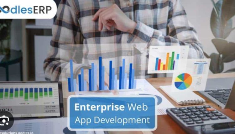 What Are Enterprise Web Applications?
