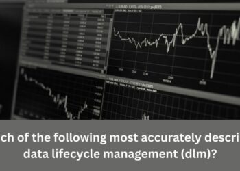 which of the following most accurately describes data lifecycle management (dlm)?