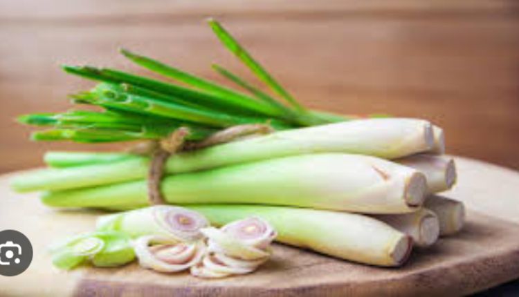 The Flavor Chameleon: How Lemon-Gras Brings Dishes to Life